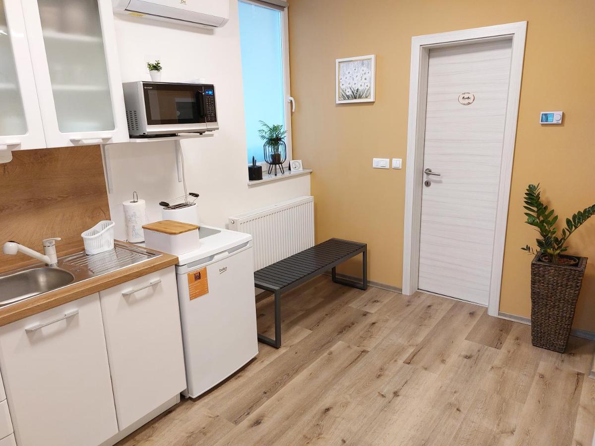 Apartments Alexandra 첼레 외부 사진
